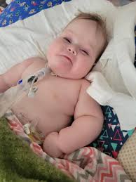 Happy 'A-LEVELS' day from SULTANS. Please message us if you got your A  Level results today & we'll give you a free meal (selective menu) today to  celebrate. Teddy is a 3