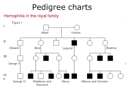 Emoji genetics pedigree worksheet answers thank you for your participation! Inheritance Of Genetic Disorders Interactive Worksheet By Caitlin Hunt Wizer Me