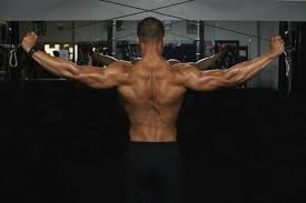 To reduce complexity, muscle units have been incorporated in an abridged manner, reducing their actions more or less to a single force equivalent. How To Strengthen Back Muscles Exercises For A Stronger Back