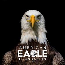Enjoy ✓ free returns and ✓ cash on delivery! American Eagle Foundation Youtube