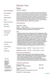 job description skills examples