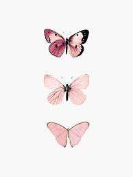 Pink Butterflies Sticker By Haleyerin In 2020 Butterfly Wallpaper Iphone Butterfly Wallpaper Cute Wallpapers