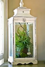 Subito a casa e in tutta sicurezza con ebay!partite dalla pulizia delle vongole, sistematele in una ciotola capiente e coprite con abbondante acqua 1, poi aggiungete il sale grosso fino a riprodurre. Michelle Mini Greenhouses Arredamento Piante Da Interni Fioriere Interne Idea Di Decorazione