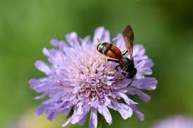 As the oldest pest control company in somerset kentucky, we have a long history of customer satisfaction and industry knowledge that makes us unique in the pest *quarterly, monthly and one time pest control. Why Springtime Pest Control Is A Must For Your Home