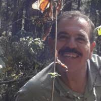 400+ perfiles de «Silverio»