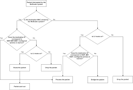 Packet Forwarding Modes