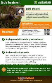 I had some customer complaints because of how wide the spray was getting on the inside of the. How To Get Rid Of Grubs In Lawn Grub Control Treatment