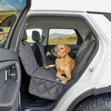 We did not find results for: Products For Traveling With Dogs Orvis