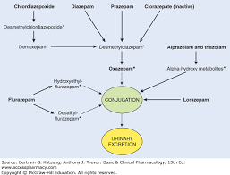 Sedative Hypnotic Drugs Basic Clinical Pharmacology 13e