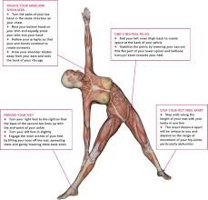 An Overview Of Triangle Pose Utthita Trikonasana Pocketmags Com