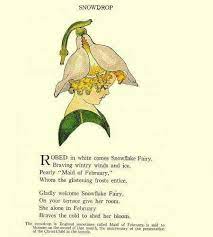 Snowdrop Childrens Poetry Flower Fairies Fairy Art