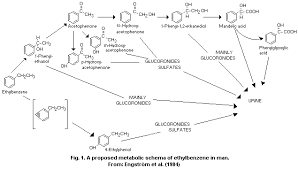 Ethylbenzene Ehc 186 1996
