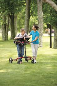 Image result for Walkers