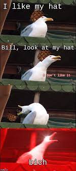 Respect The Hat Stupid Funny Memes Funny Memes Stupid Memes