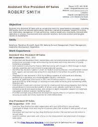 How to write a resume that will get you the job? Vice President Of Sales Resume Samples Qwikresume