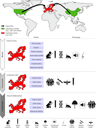 Took cares of the problem for my mother who lives in port st. Improved Biosecurity Surveillance Of Non Native Forest Insects A Review Of Current Methods Springerlink