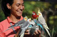 A Master Plan For Open Space Development