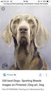 New codes come out all the time, so you may want to bookmark this page and check back often. David Shindo Dwshindo Profile Pinterest