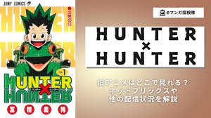 ハンターハンター旧アニメはどこで見れる？ネットフリックスや他の配信状況を解説 – eマンガ探検隊