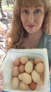 Mexican Egg Color Vs American Egg