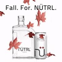 Download falling leaves transparent background and use any clip art. Falling Leaves Gifs Get The Best Gif On Giphy