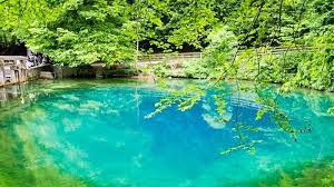 We did not find results for: Orte Und Ihre Legenden Wie Kam Die Nixe In Den Blautopf Von Blaubeuren