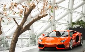 Tons of awesome lamborghini veneno wallpapers to download for free. Beste Autotapeten Hd Landfahrzeug Fahrzeug Auto Supersportwagen Lamborghini Aventador Sportwagen Lamborghini Leistungsauto Luxusfahrzeug 1373245 Wallpaperkiss