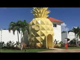 Das in der schneckenstraße 124 gelegene haus von spongebob und gary in form einer ananas ist ein in der regel zweistöckiges haus inklusive einer dachterrasse. Ubernachten Wie Spongebob Hotel Wie Ne Ananas Ganz Tief Im Meer Seriesly Awesome
