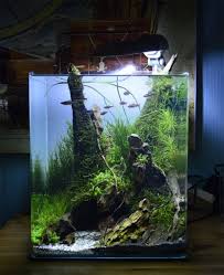 45 Nano Planted Tank Design Inspirations To Displayed At The Office Rooms And Living Room That Will Eliminate You Nano Aquarium Aquarium Einrichten Nano Cube