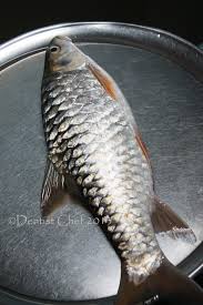 Check spelling or type a new query. Resep Gulai Ikan Batak Ikan Semah Ikan Sapan Or Mahseer Fish Indonesian Fish Curry Dentist Chef