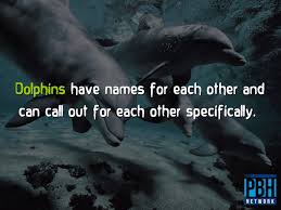 Image result for life facts