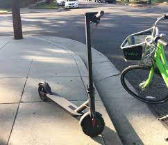 We eat certain types, like chickens and turkeys. Bird Scooter Ultimate Guide Everything You Need To Know Exsplore