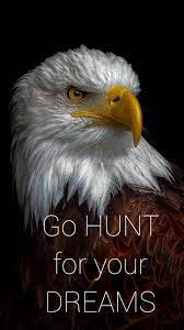 100 Motivational Quotes To Empower Your Success Eagle Images Eagles Quotes Bald Eagle