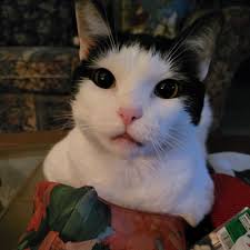 The Purple Flower added a new photo.