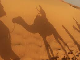The ship of the desert. What You Should Know To Visit The Desert Of Merzouga Miss Wanderitall