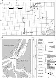 Image result for Elfenbein 1992 Fleet