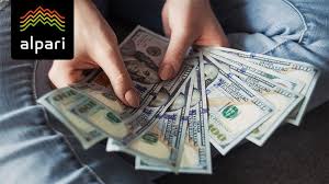 Grafic evolutie marja de profit. Convertor Rapid Cursul Valutar Bnr