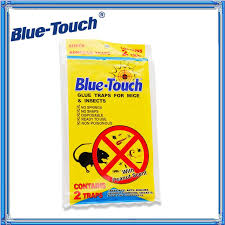 Mary jane epps, a postdoctoral researcher at the number of d. Mouse Mice Insect Lizard Spider Snake Glue Board Professional Sticky Traps Peanut Butter Scented Best Glue Traps Buy Glue Trap Adhesive Mice Mouse Mouse Adhesive Cardboard Mouse Glue