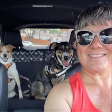 Tomato plant in SW Florida with frost spots