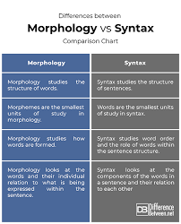 Difference Between Morphology And Syntax Difference Between