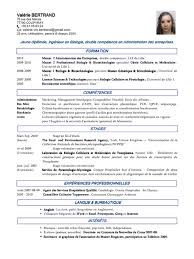 L'entreprise offre des services de maintien à domicile (aide à la toilette, préparation des repas, garde de nuits, etc.). Exemple Cv Agent De Securite Word