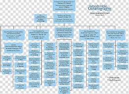 Organizational Chart Non Profit Organisation Organizational
