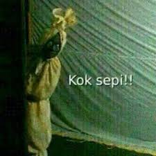Stiker tersebut bisa kita buat dengan bantuan aplikasi stiker wa. 38 Ide Stiker Wa Meme Lucu Gambar Lucu Semuanya Lucu
