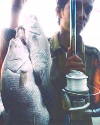 Jadi di sini ada dua waktu yang bisa anda pilih untuk waktu memancing. Cara Mancing Kakap Putih Di Siang Hari Cara Memancing Kakap Putih Yang Bikin Ketagihan 7 Cara Fero Epwan