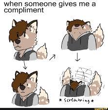When Someone Gives Me A Compliment Ifunny Furry Meme Furry Drawing Furry Comic