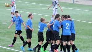 Novara calcio youth sector (italian: Novara Calcio Settore Giovanile Zonacalciofaidate