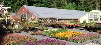 It provides a fully comprehensive service in plant sales, landscaping and in the florist. In The Garden Greenhouses Home Facebook