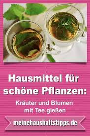 Hallo, hat es irgendwelche vorteile, pflanzen mit tee zu gießen? Hausmittel Fur Schone Pflanzen Krauter Und Blumen Mit Tee Giessen Egal Ob Selbst Angepflanzt Oder Im Topfchen Im Supermar Hausmittel Pflanzen Haushalts Tipps