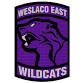 Rio Grande City at Weslaco East event image