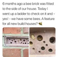 Maybe you would like to learn more about one of these? Bee Bricks Who Knew Bees